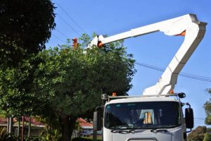 Grúas con brazo hidráulico - Seguridad y normativa